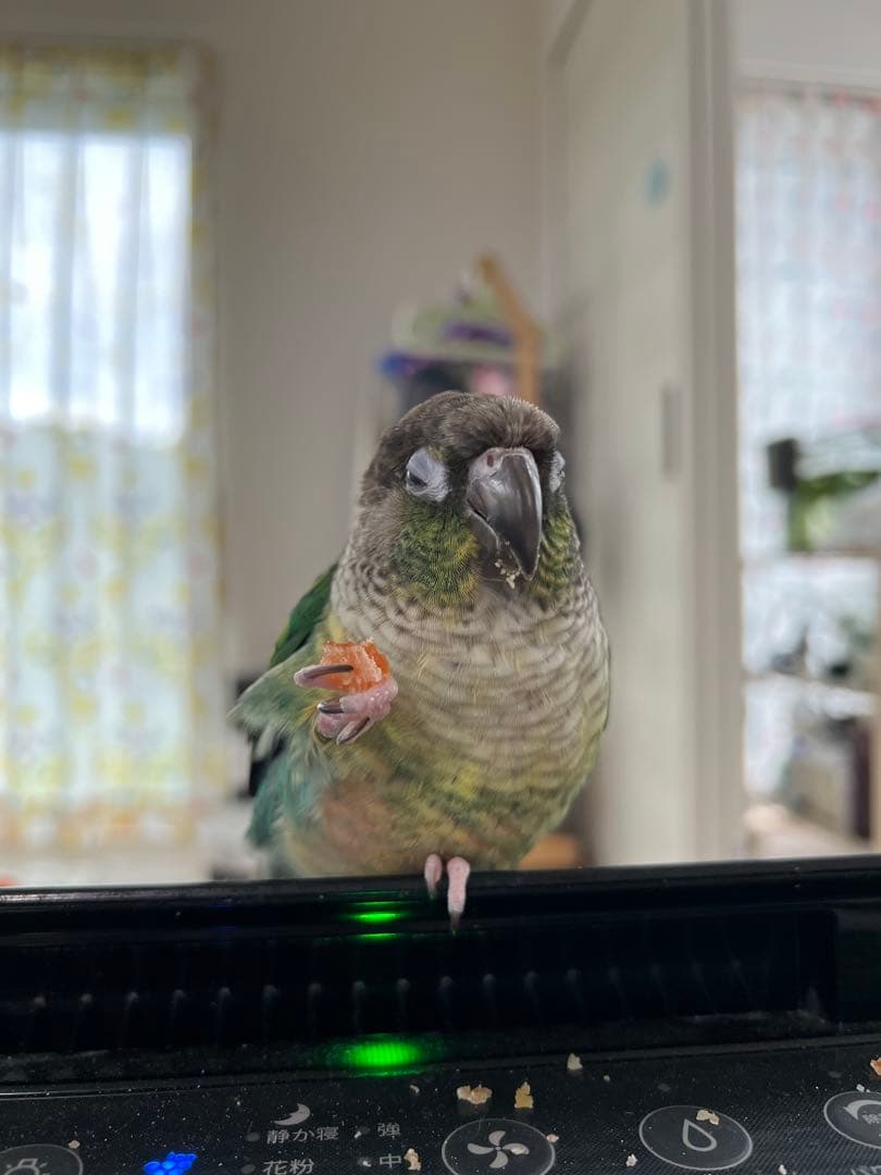 みつ豆さまご確認ページ