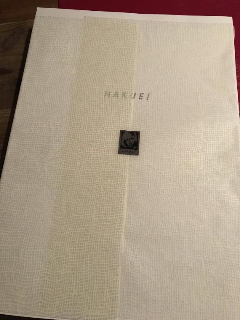 ★限定/HAKUEI/ハクエイ/SPECIAL PHOTOGRAPHS/写真集