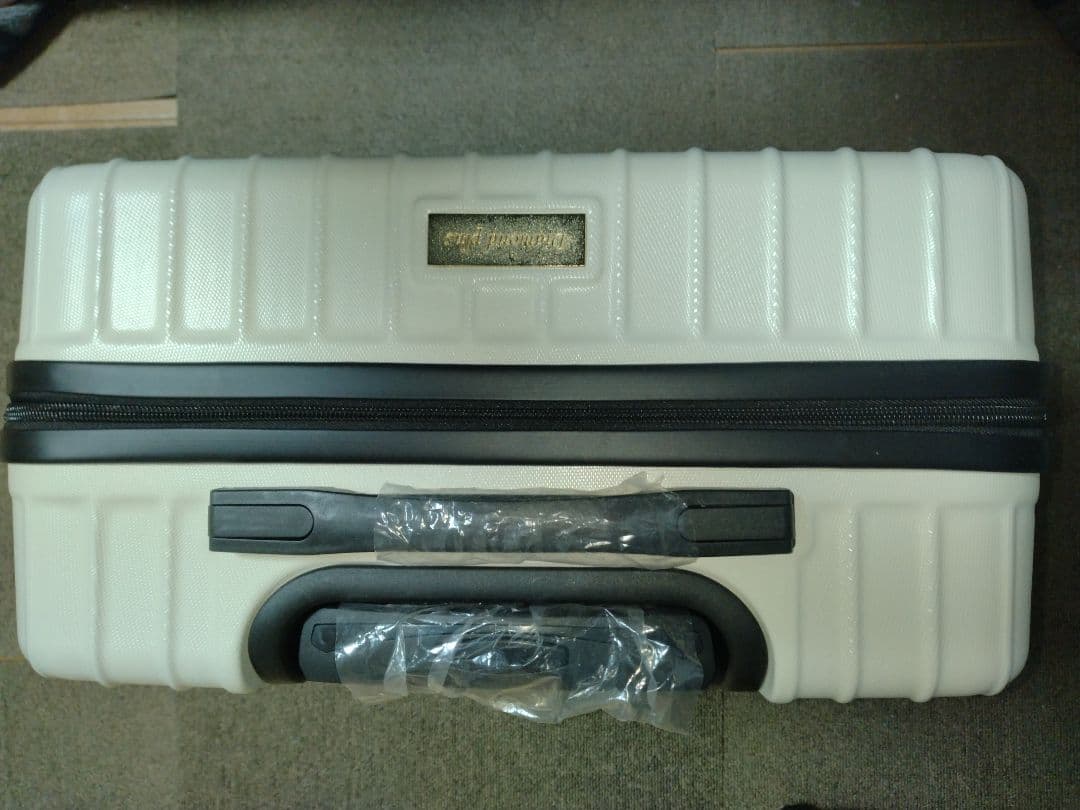 阪神タイガース　ダイヤモンドプラス特典　スーツケース