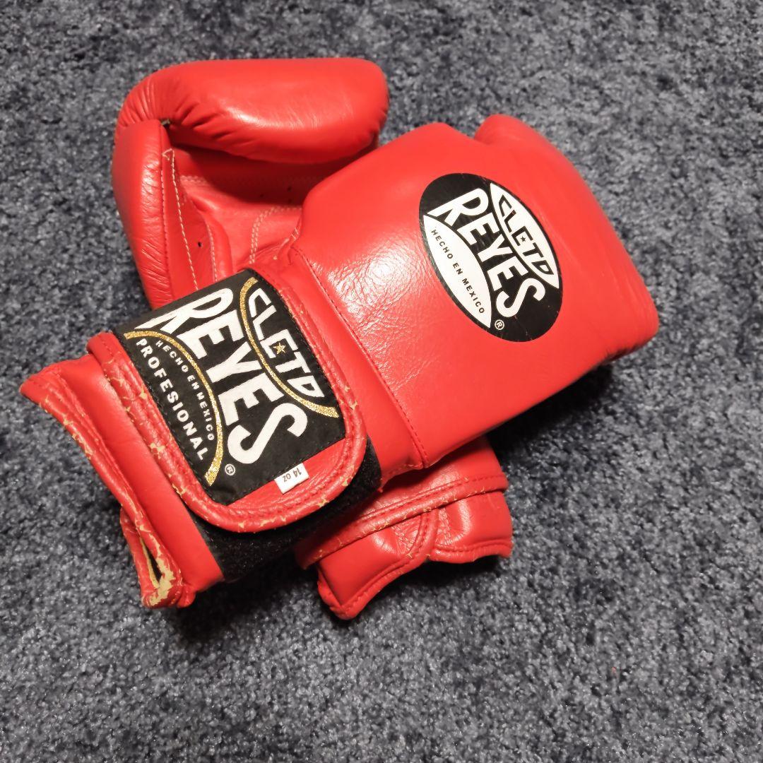 レイジェス14オンス　グローブ