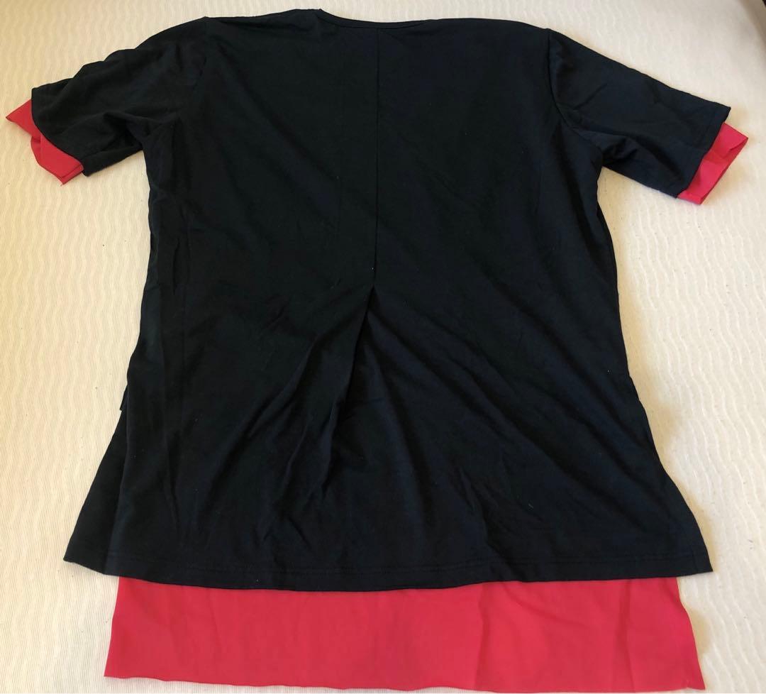 専用！【美品】ミスチル 桜井 着 レイヤード カットソー V