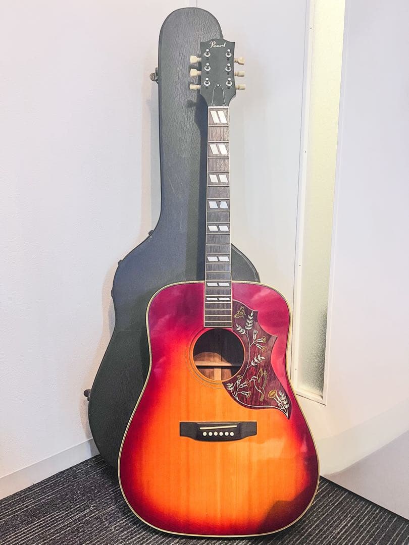 必見⭐︎希少！パールPF-250 Guitar ハミングバード ハードケース