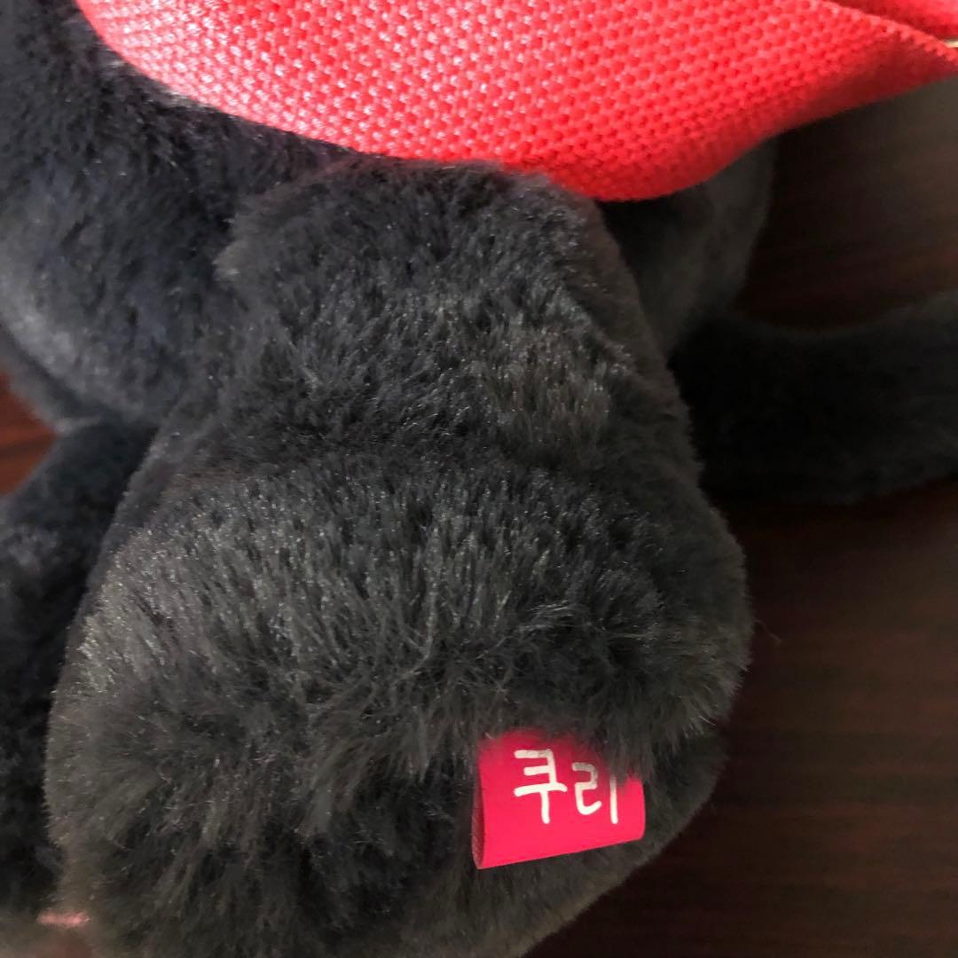 NCT WISH リク キャラクターバッグ トレカ付き ソウルコンMD