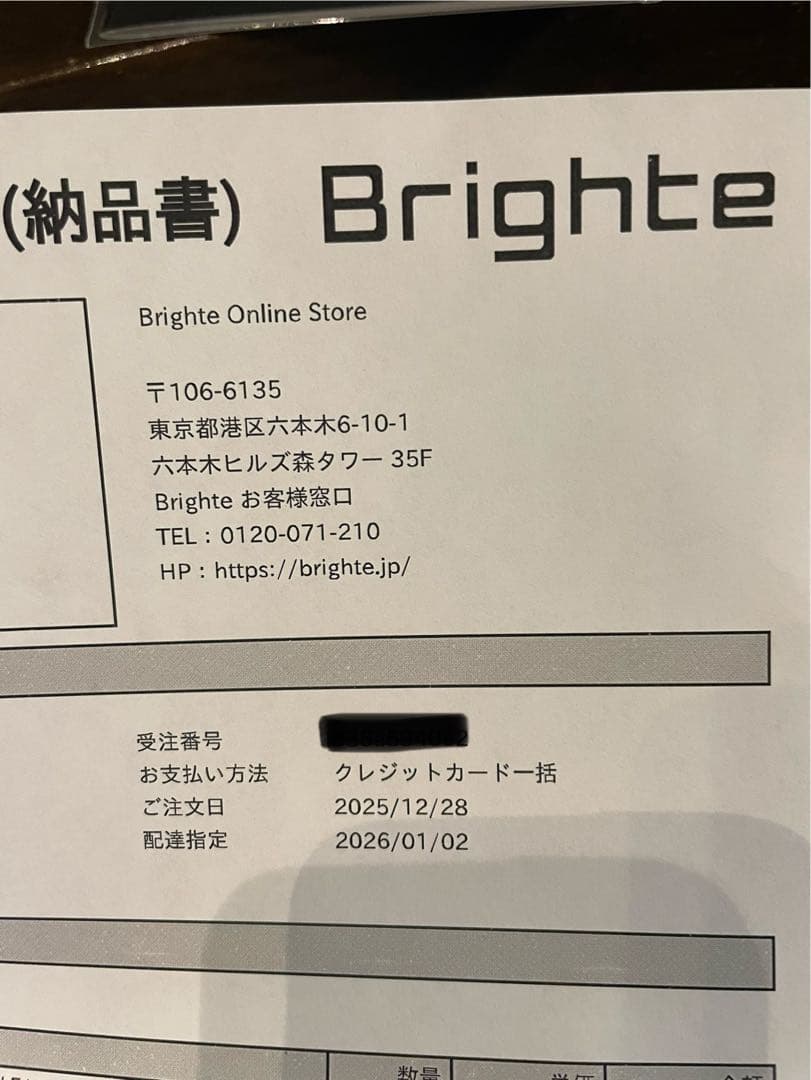 Brighte 3D SILK STRAIGHT IRON ミッキーマウス