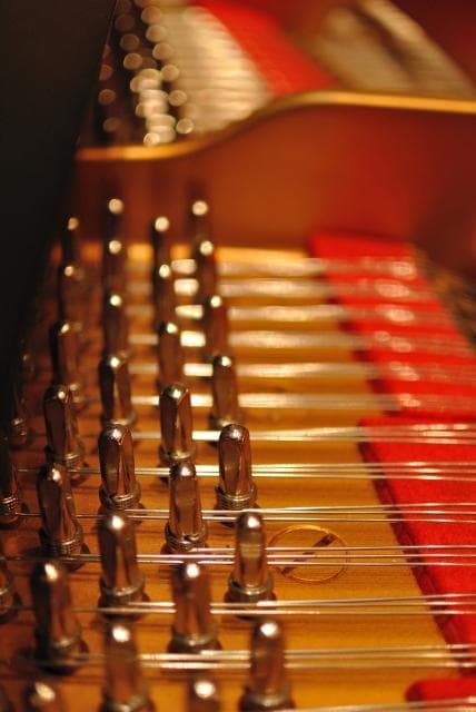 工業用シリカゲル　200g　 100個入