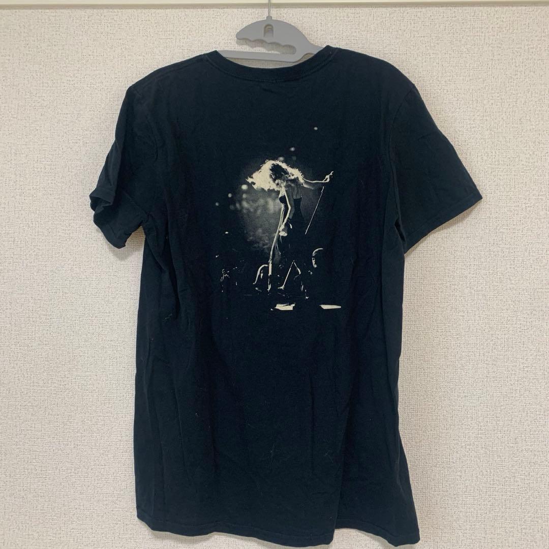 【激レア】Taylor Swift ヴィンテージTシャツ Fearless期