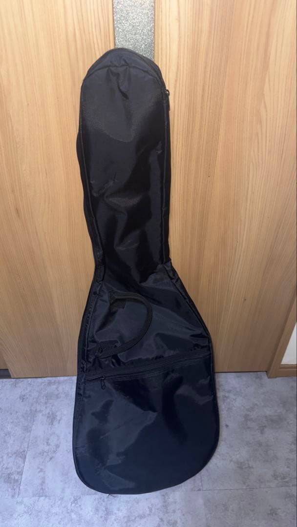 GrassRoots ブラック エレキギター