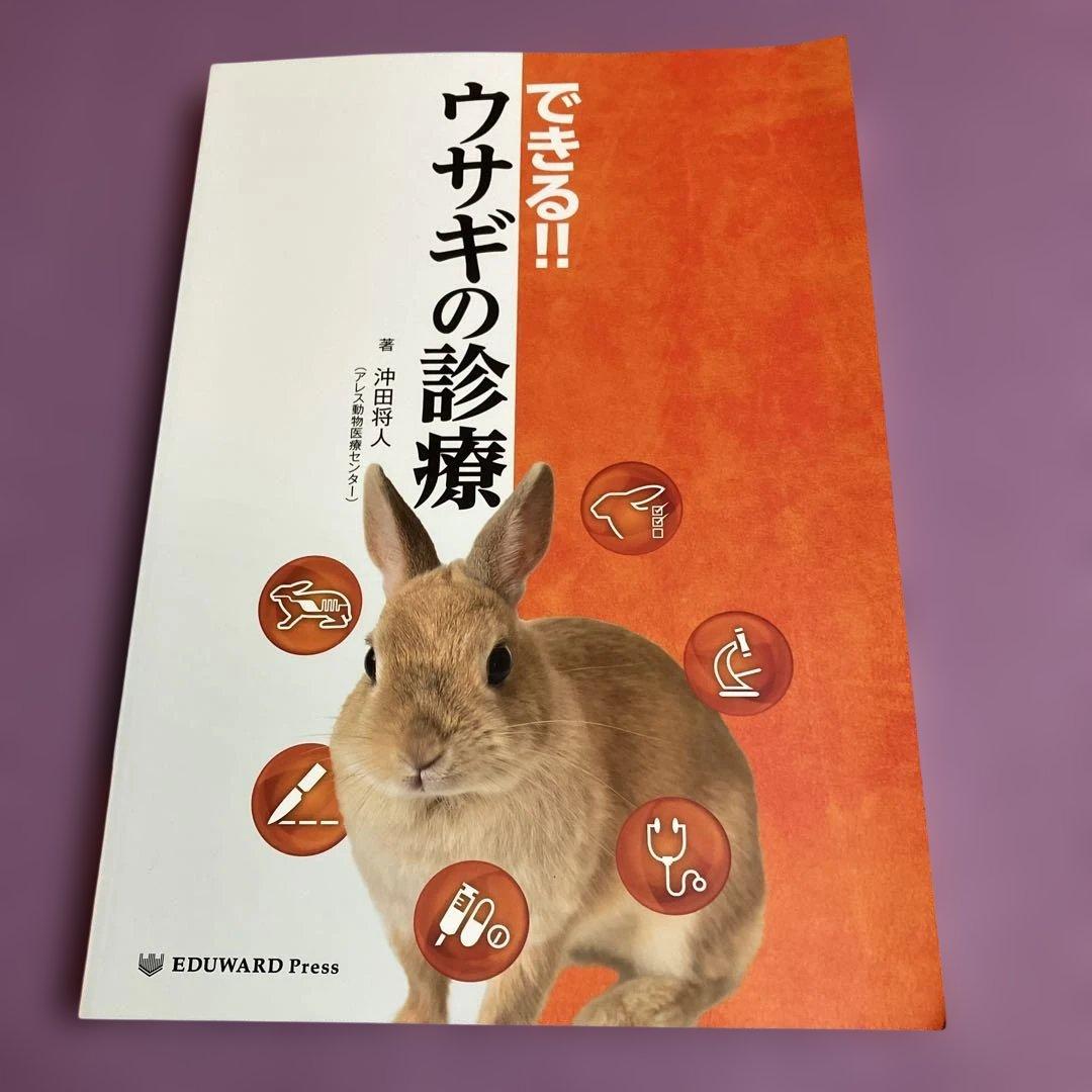 定価15400円　できる!!ウサギの診療　沖田将人　エデュワードプレス