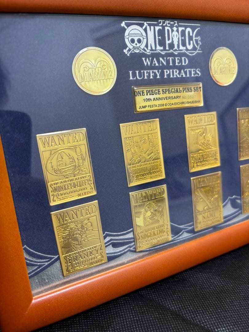 ONE PIECE 10周年1000個限定 シリアルナンバー入りピンズセット