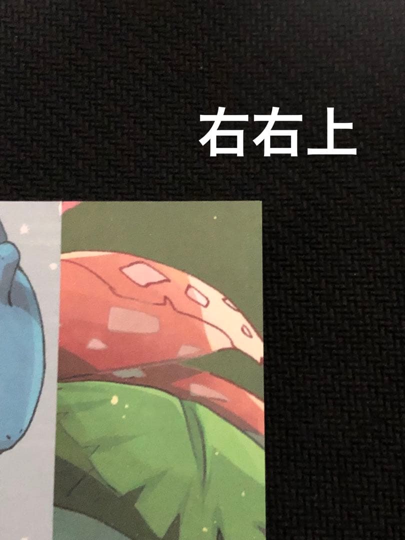 希少　ポケモン　御三家　リザードン　カメックス　フシギバナ　ポストカード