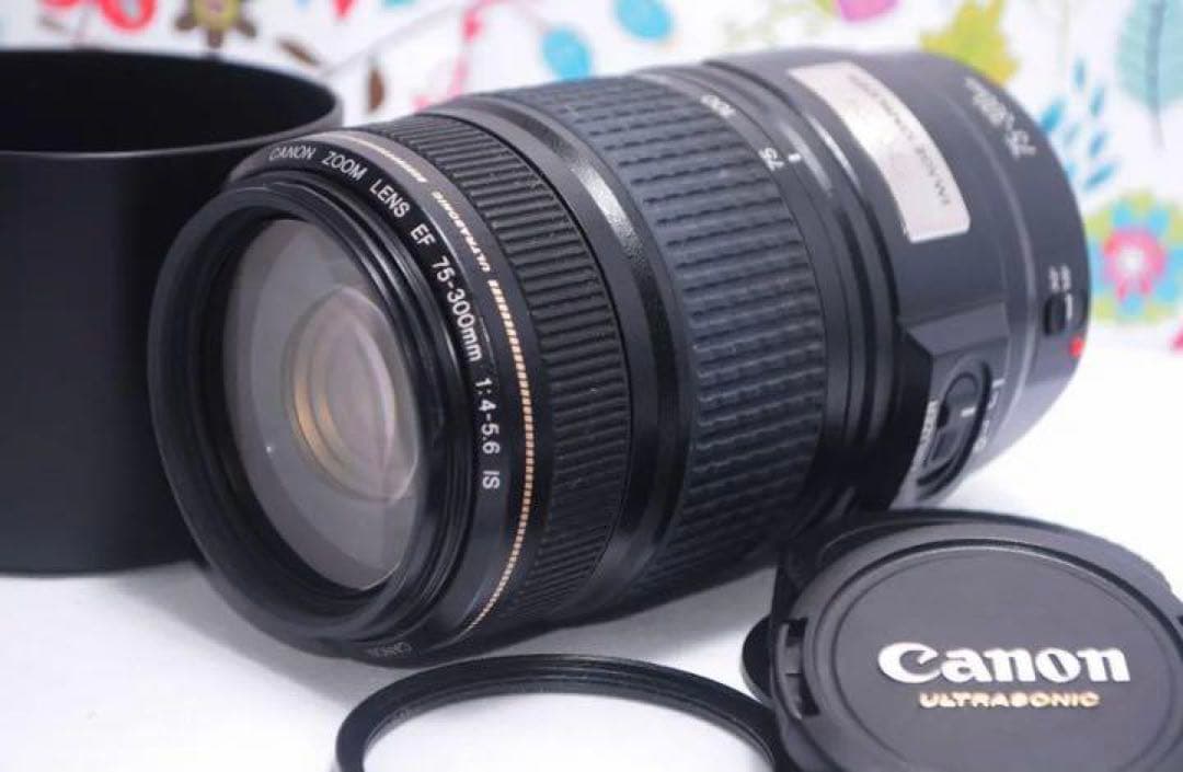 美品 Canon EF 75-300mm IS USM☆望遠レンズ☆フィルター付