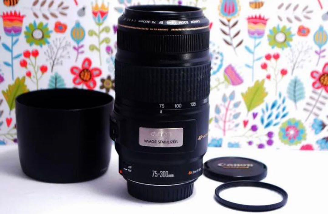 美品 Canon EF 75-300mm IS USM☆望遠レンズ☆フィルター付