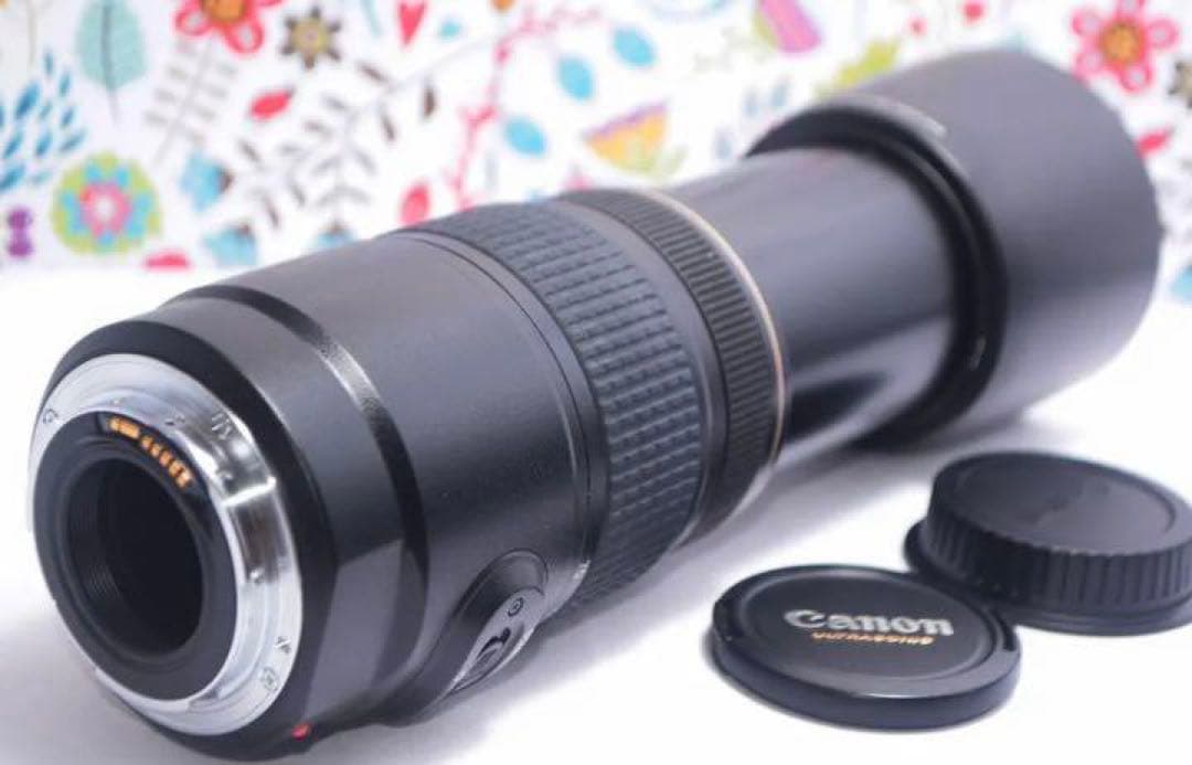 美品 Canon EF 75-300mm IS USM☆望遠レンズ☆フィルター付