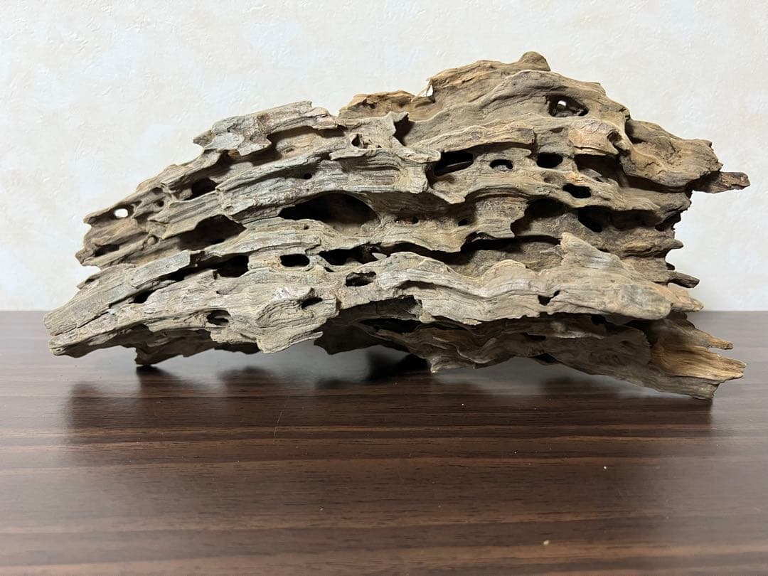 (XM-118)流木　マシンガンウッド　アクアリウム　ブランチウッド