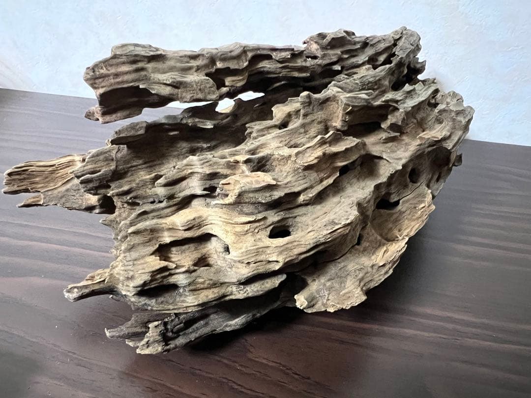 (XM-118)流木　マシンガンウッド　アクアリウム　ブランチウッド