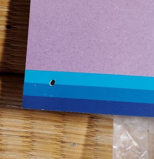 ウリナリ　ポケビ　ポケットビスケッツ　ポスター　１枚