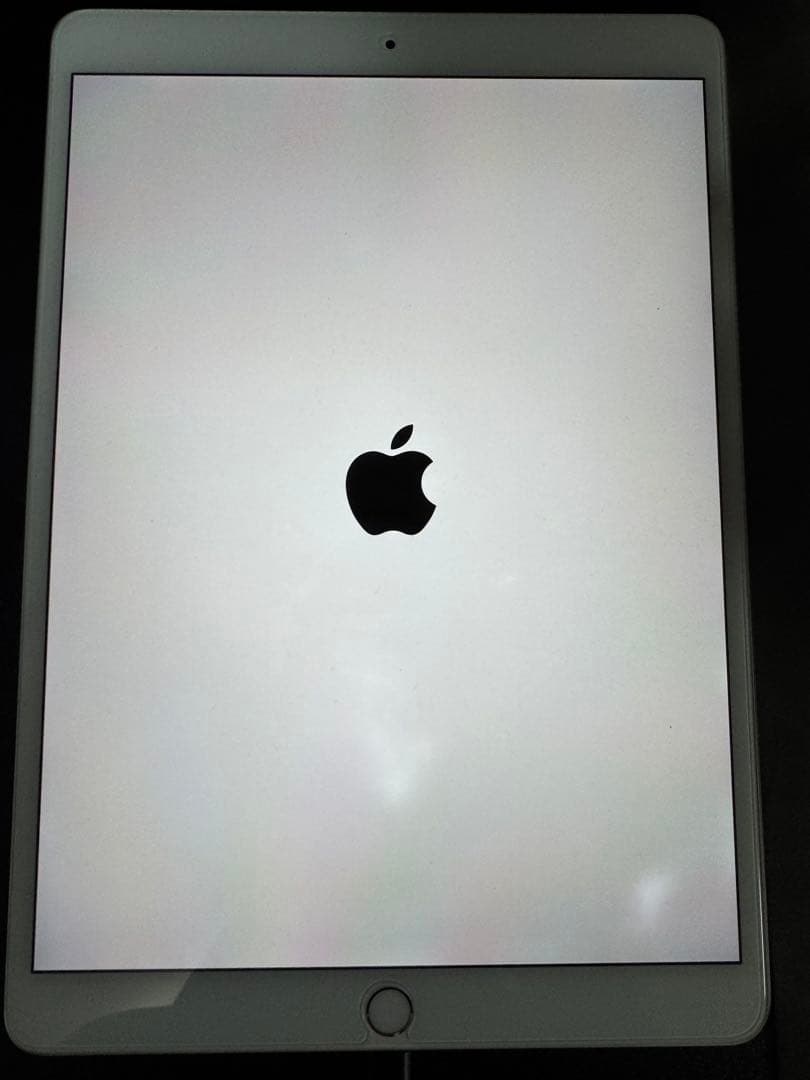 iPad Pro (10.5 インチ) 256GB シルバー　Wi-Fiモデル