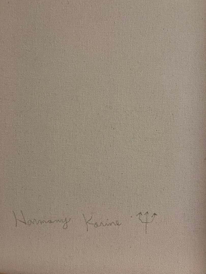 限定 Harmony Korine ハーモニーコリン　キャンパス作品