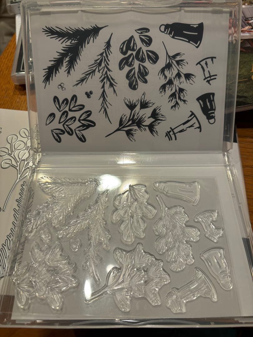 未使用　葉が素敵なスタンプ&ダイセット　スタンピンアップ