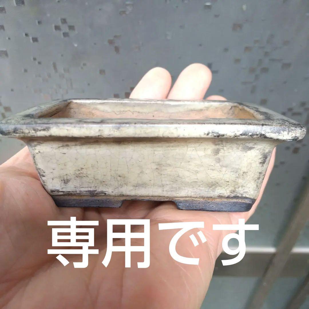 中国鉢、ミニ鉢、盆栽鉢、盆栽小鉢、鉢、植木鉢、、山野草鉢、蘭鉢、盆栽、支那鉢