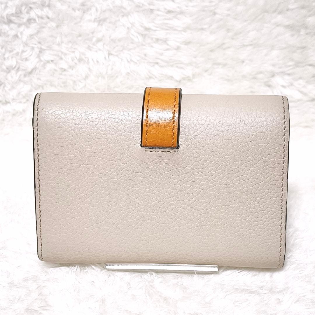 美品✨ LOEWE ロエベ バーティカルウォレット スモール 箱 付属品