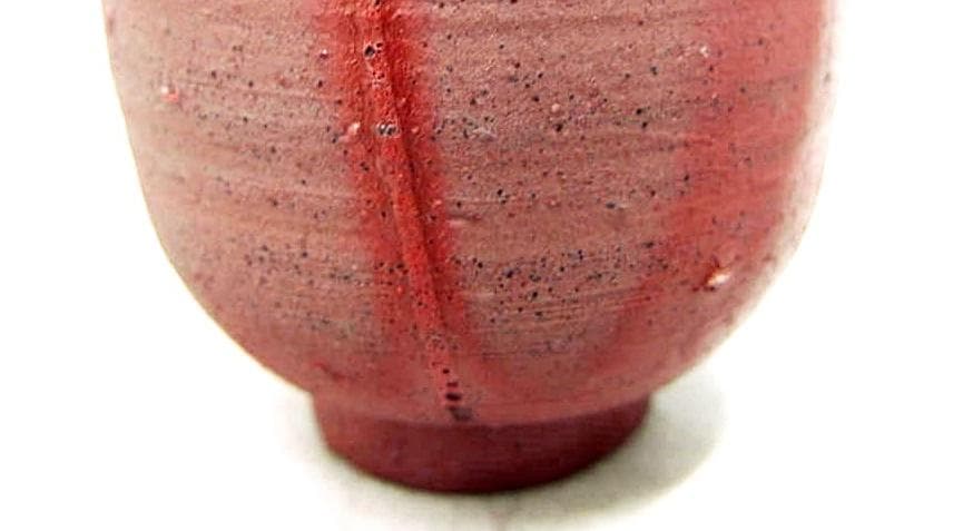 人間国宝　藤原雄　ぐい呑　M273