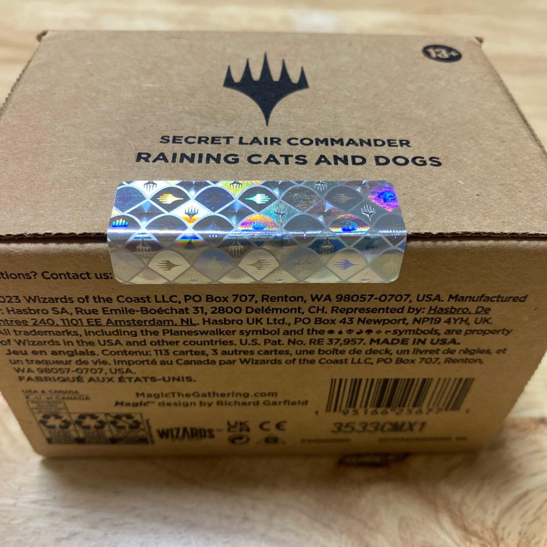 MTG Raining Cats and Dogs 1個