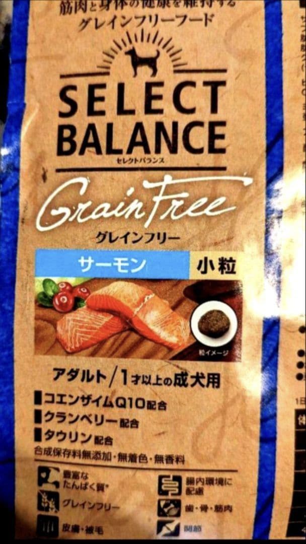 【限定】セレクトバランス グレインフリー アダルト サーモン 成犬用 10kg