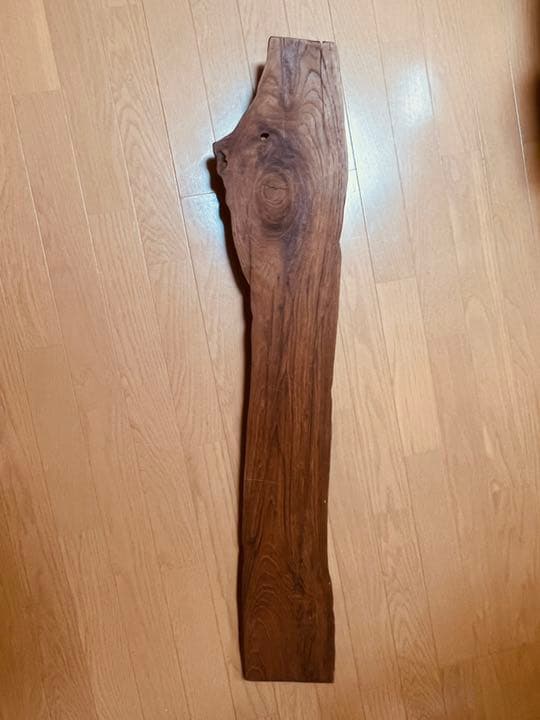 装飾用最高級流木★マングローブ系プレミアム