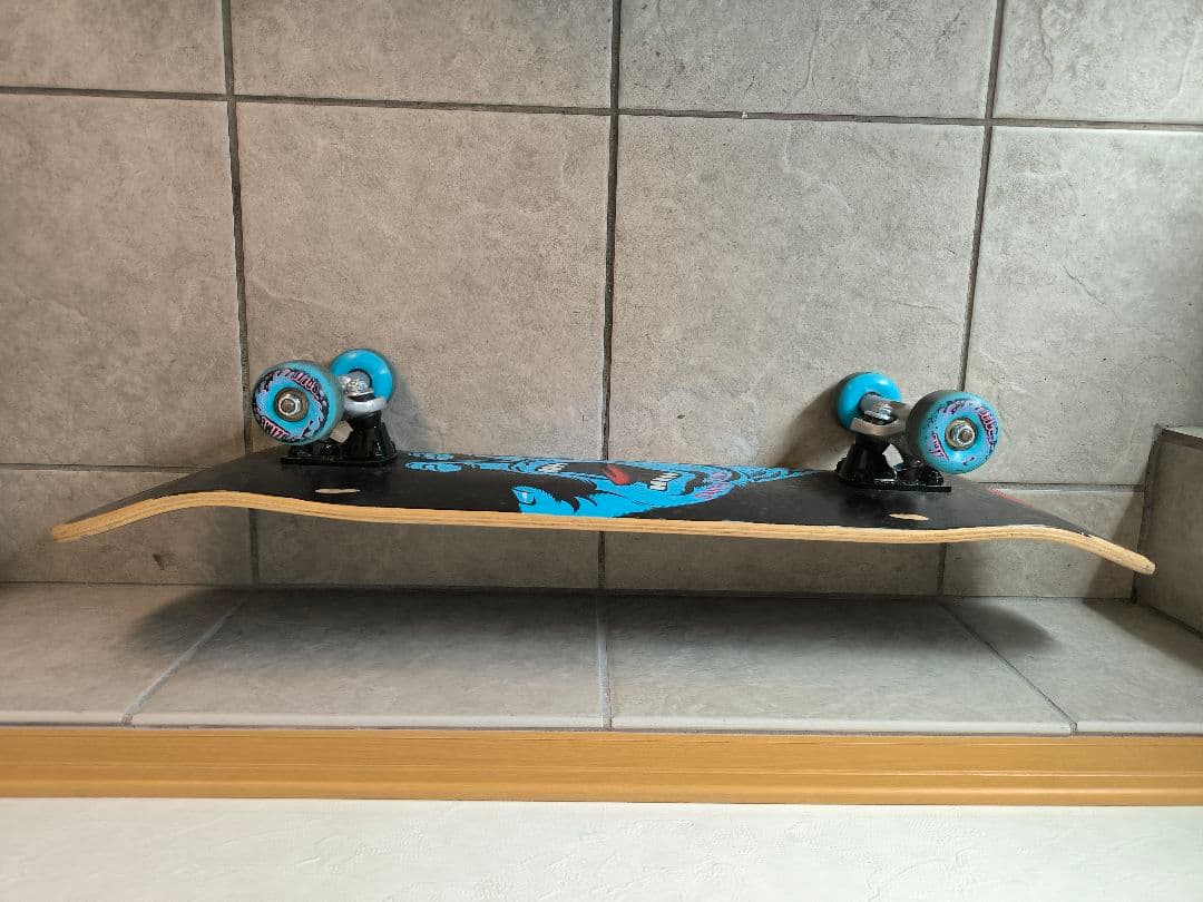 は*し様 Santa Cruz スケートボード コンプリート