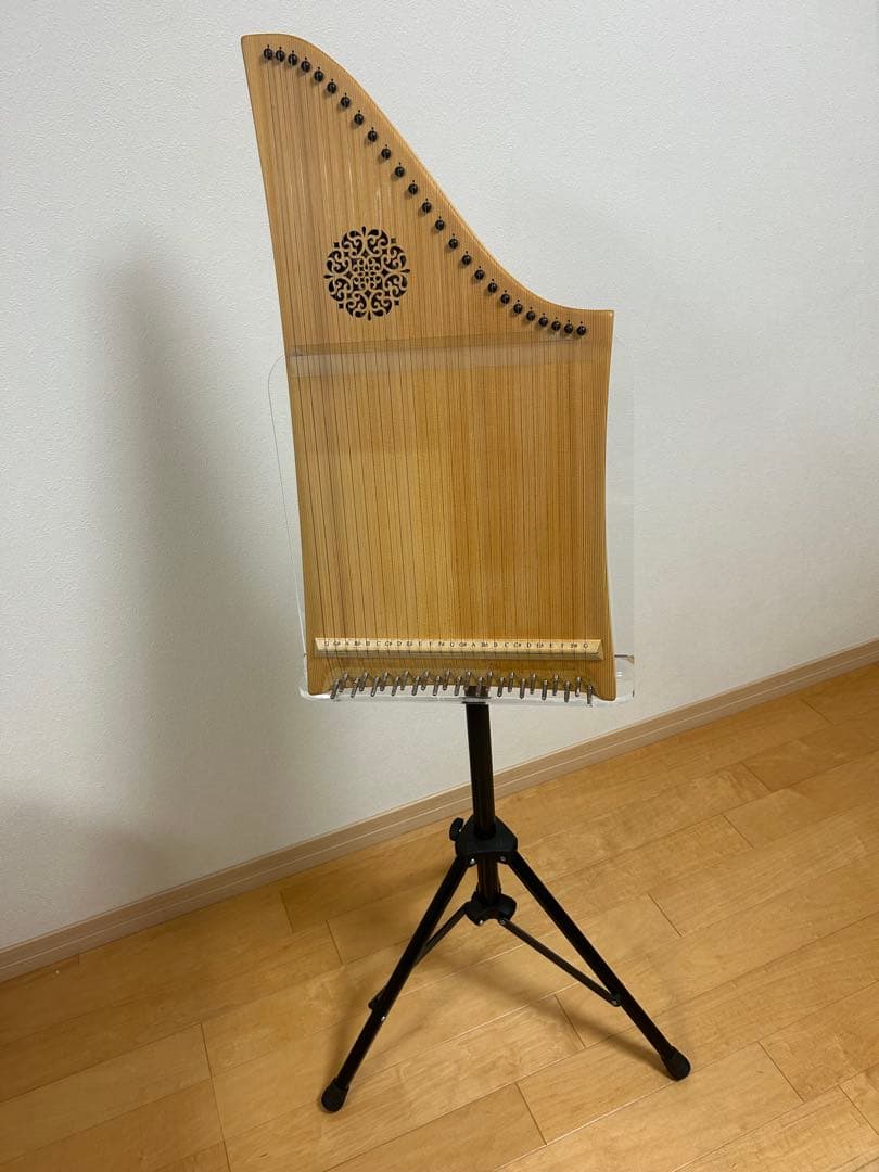 ヘルマンハープ Mタイプ 25弦 2013年製