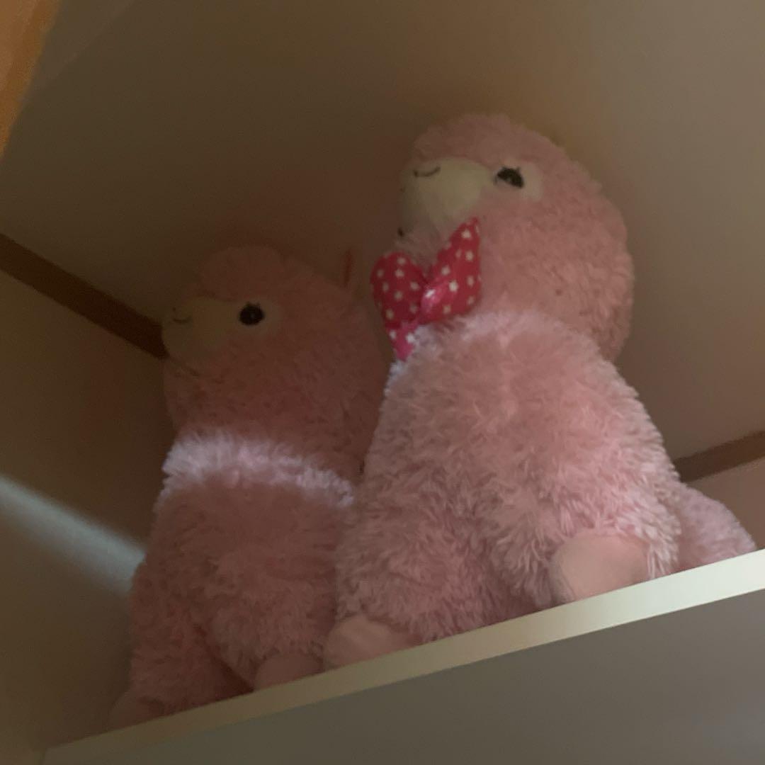 ぬいぐるみ まとめ売り