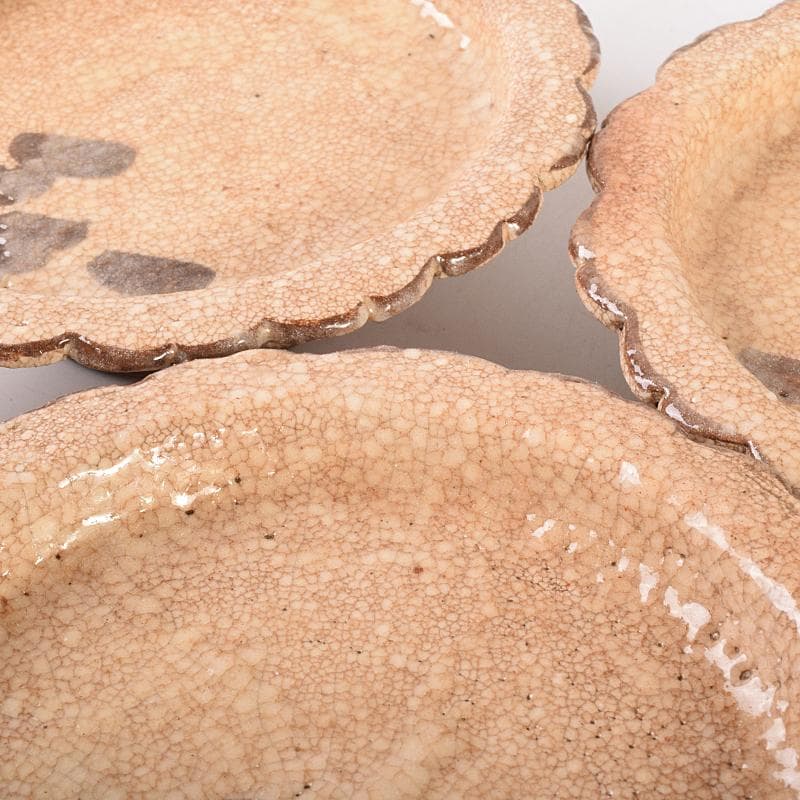 和食器　志野焼　絵志野　松文　雪輪形　菓子皿　五客　在銘　共箱　D　R7842