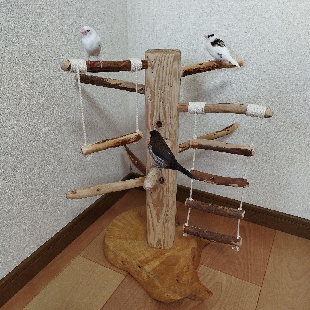 【中型鳥用】天然木バードアスレチック