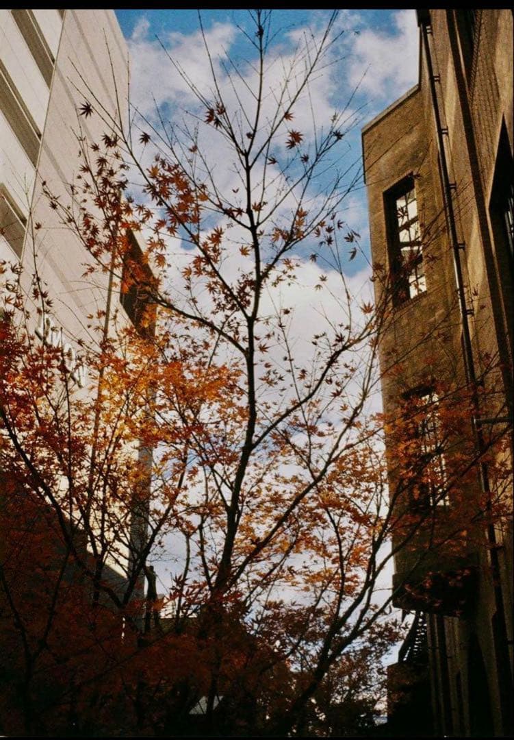 Ricoh Auto Half Ｅ　オートハーフ　メンテ済み、試写良好