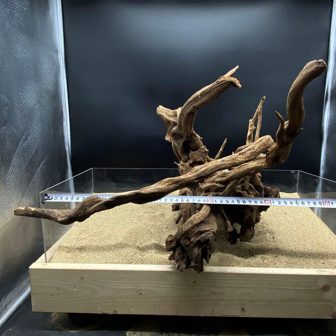 MSRW-6625 特大天然流木1点物　スリムウッド　アクアリウム