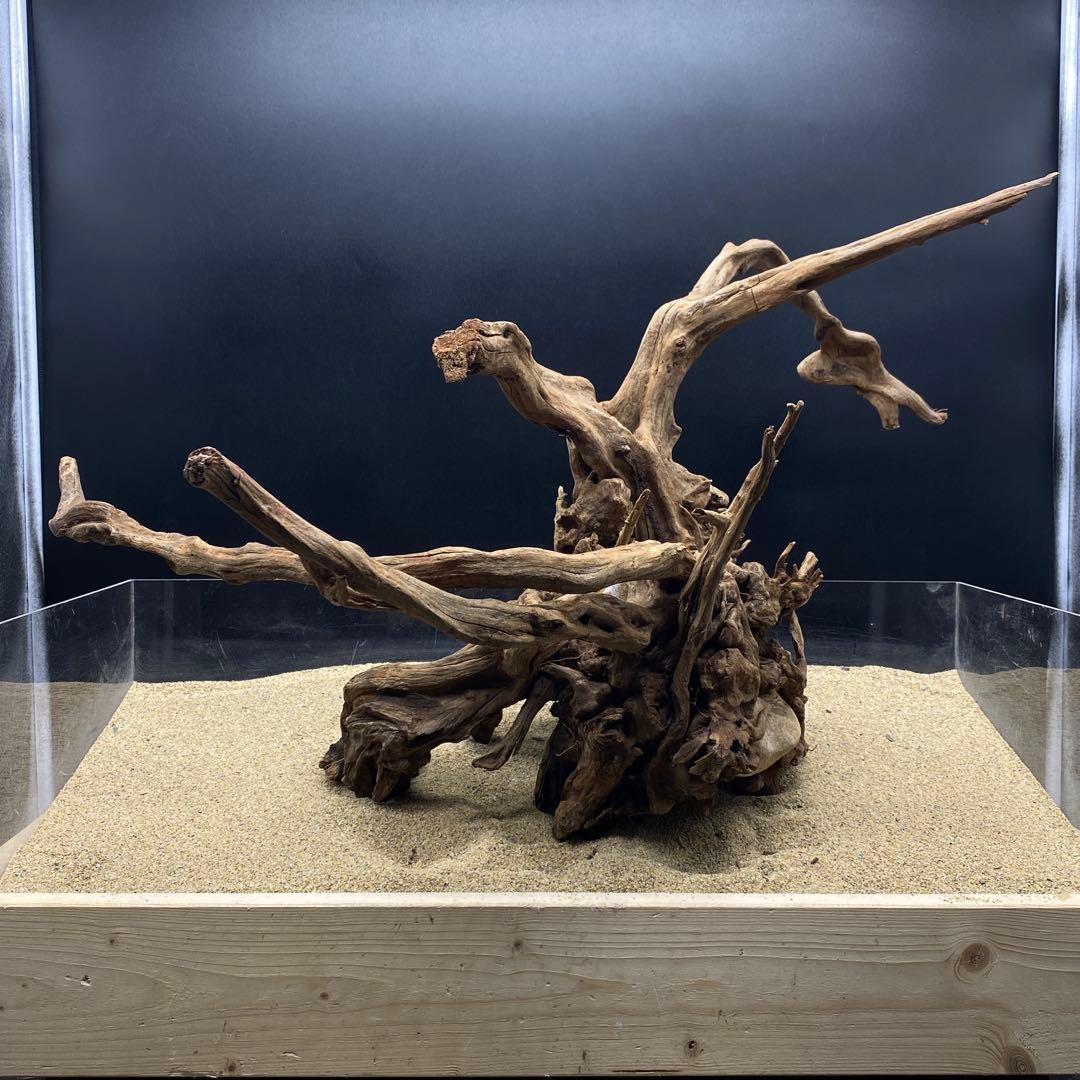 MSRW-6625 特大天然流木1点物　スリムウッド　アクアリウム