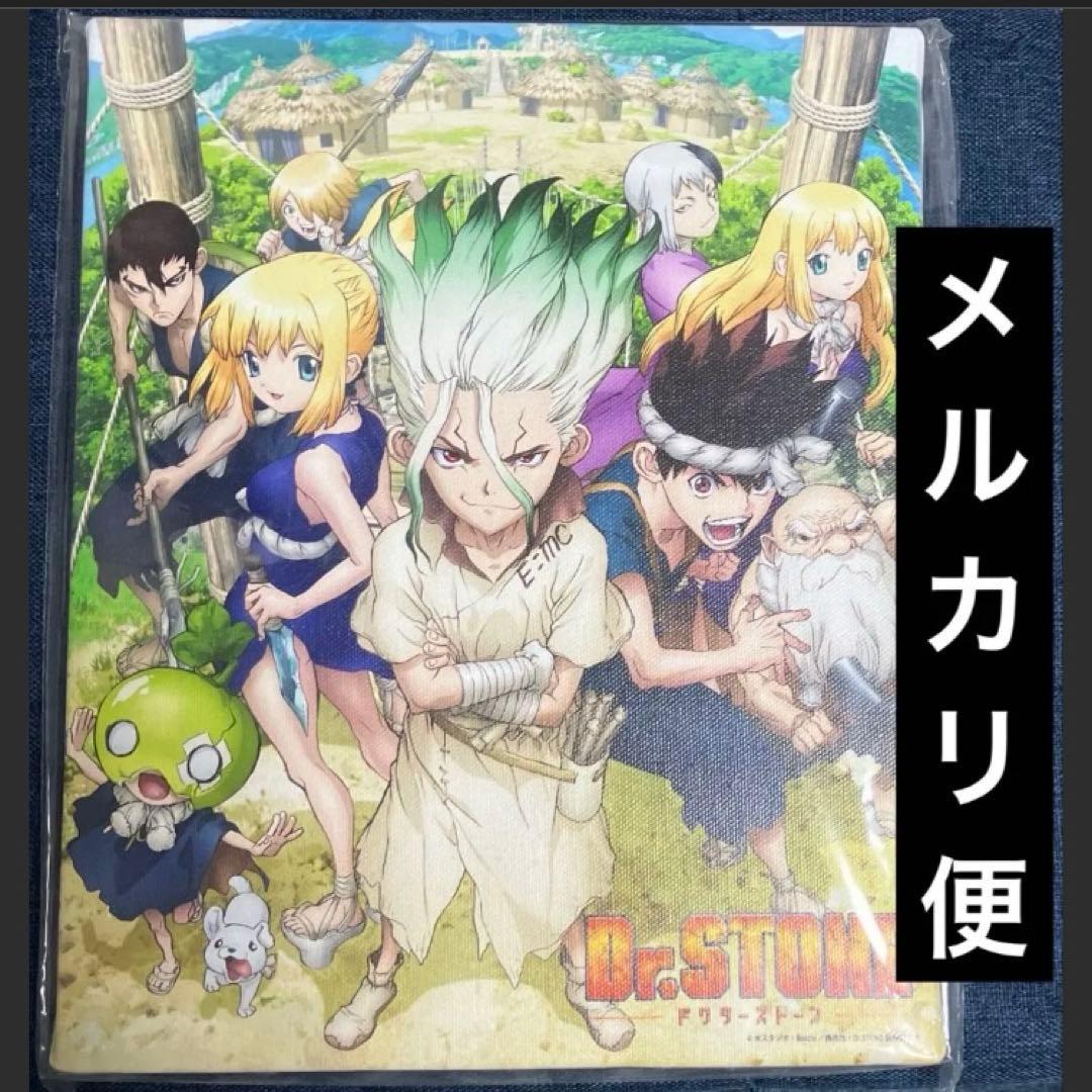 希少　レア　Dr.stone プリンセスカフェ　店舗限定　キャンバスボード　千空