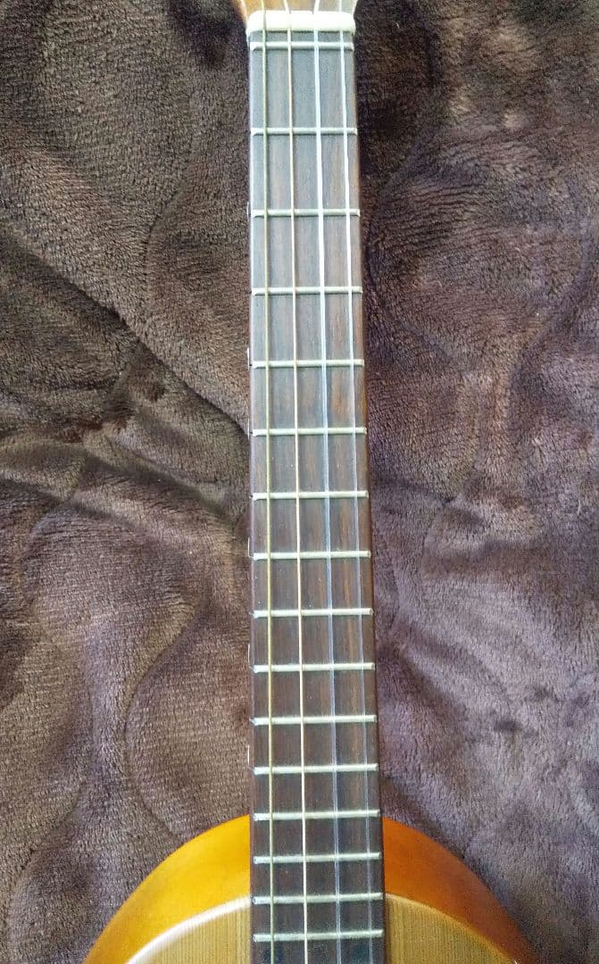 楽器　一五一会　奏生　DVD付き