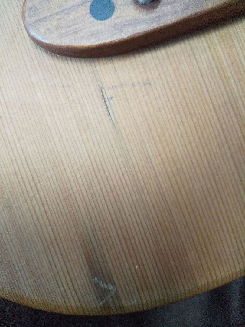 楽器　一五一会　奏生　DVD付き