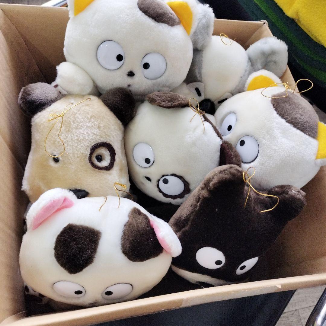 うちのたま知りませんか?ぬいぐるみ