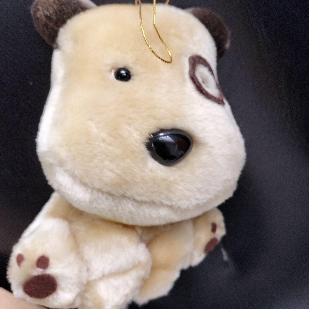 うちのたま知りませんか?ぬいぐるみ