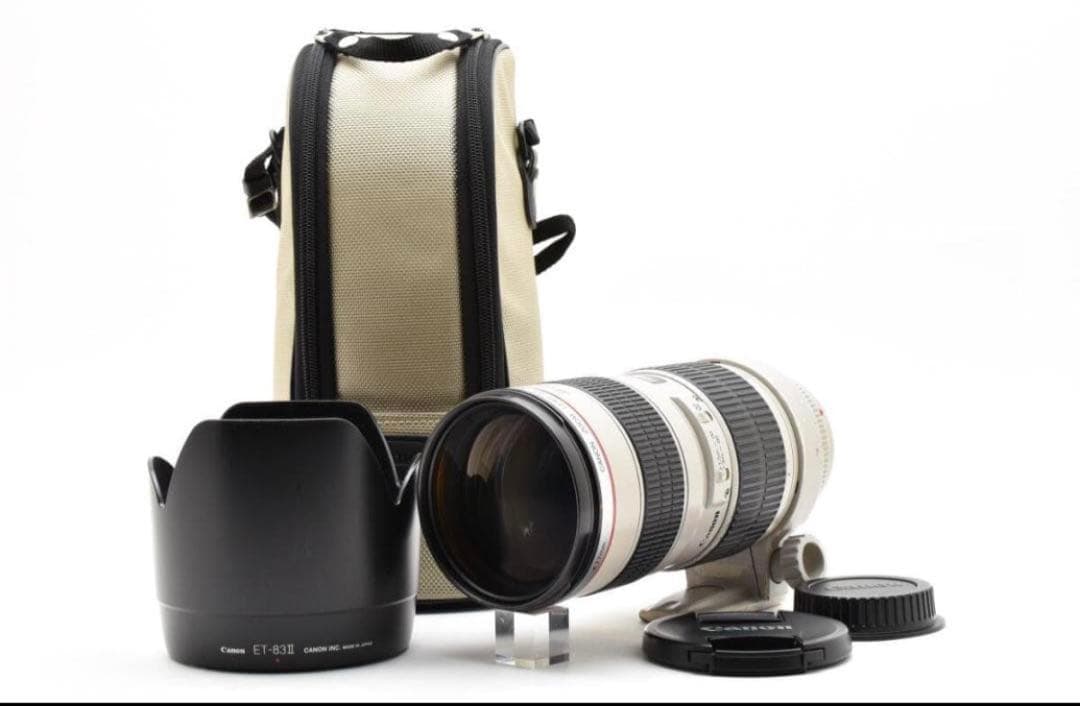 【カメラ5点セット】Canon EOS 70D レンズ4本 カメラバッグ付き