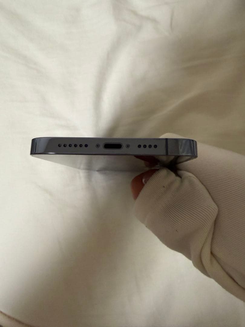 バッテリー100% iPhone 13 Pro Max シエラブルー 256GB