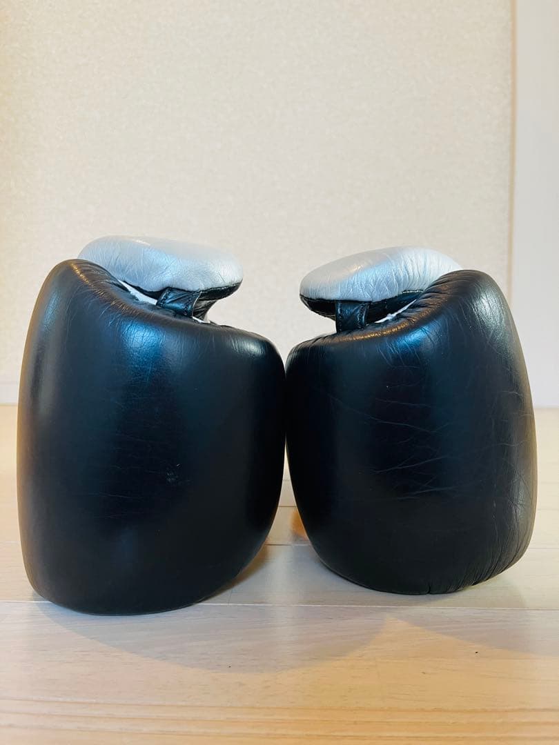 【10oz】PRIZE RING Professional SSグローブ