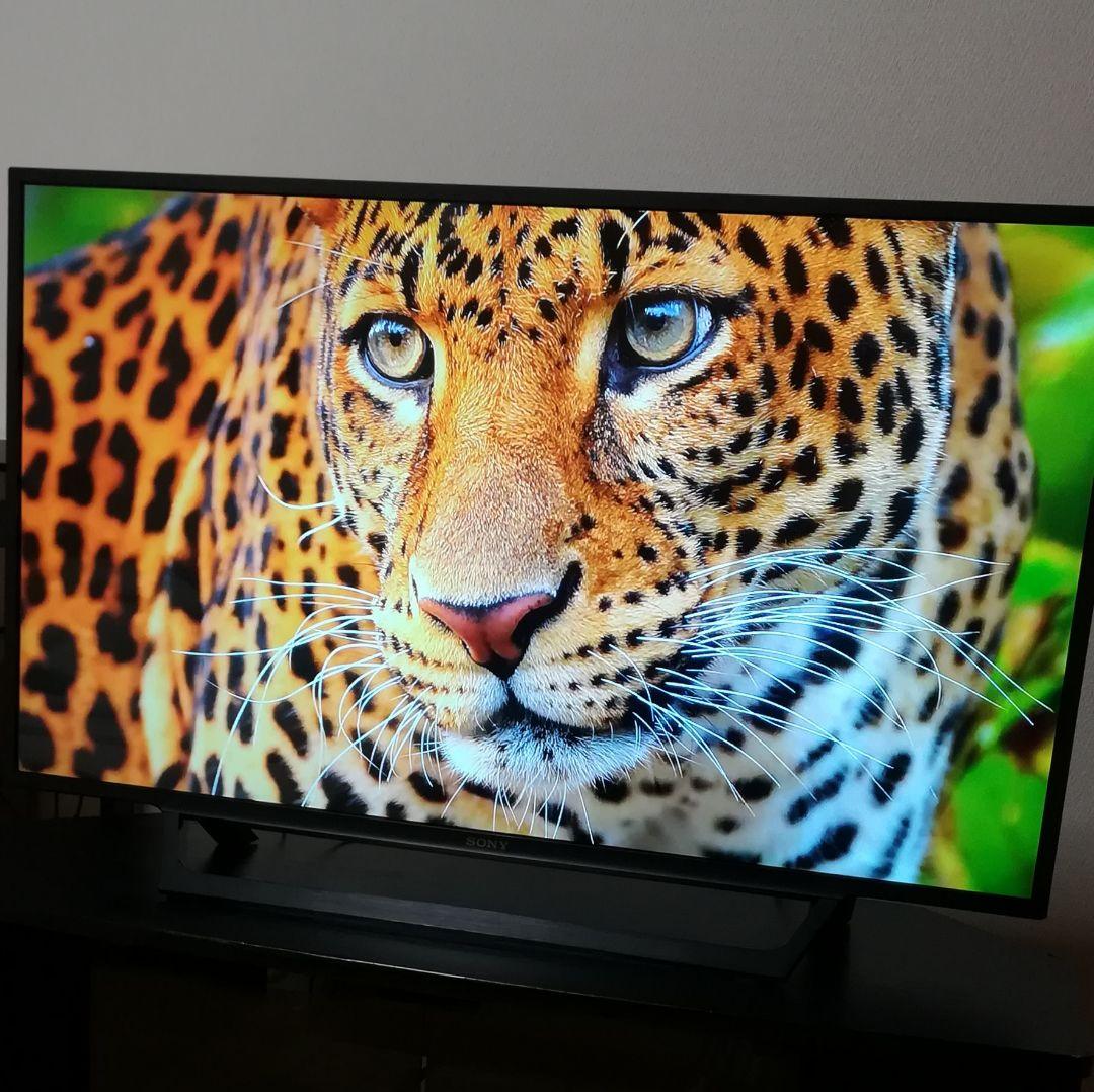 【Netflix、YouTube／すぐ視聴セット】SONY　43型液晶テレビ