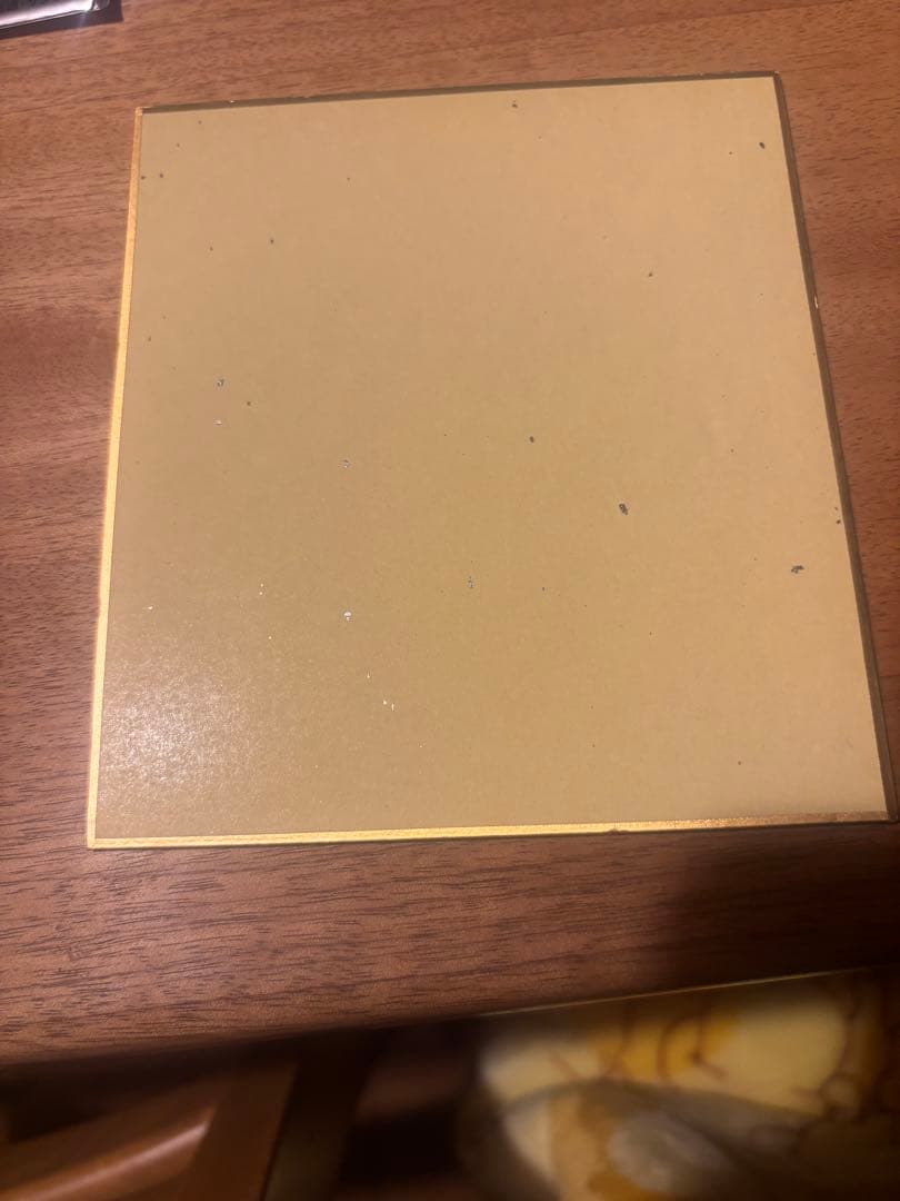 秋*ん様 ガンダムW エンドレスワルツ　２枚セット　ヒイロ、デュオ