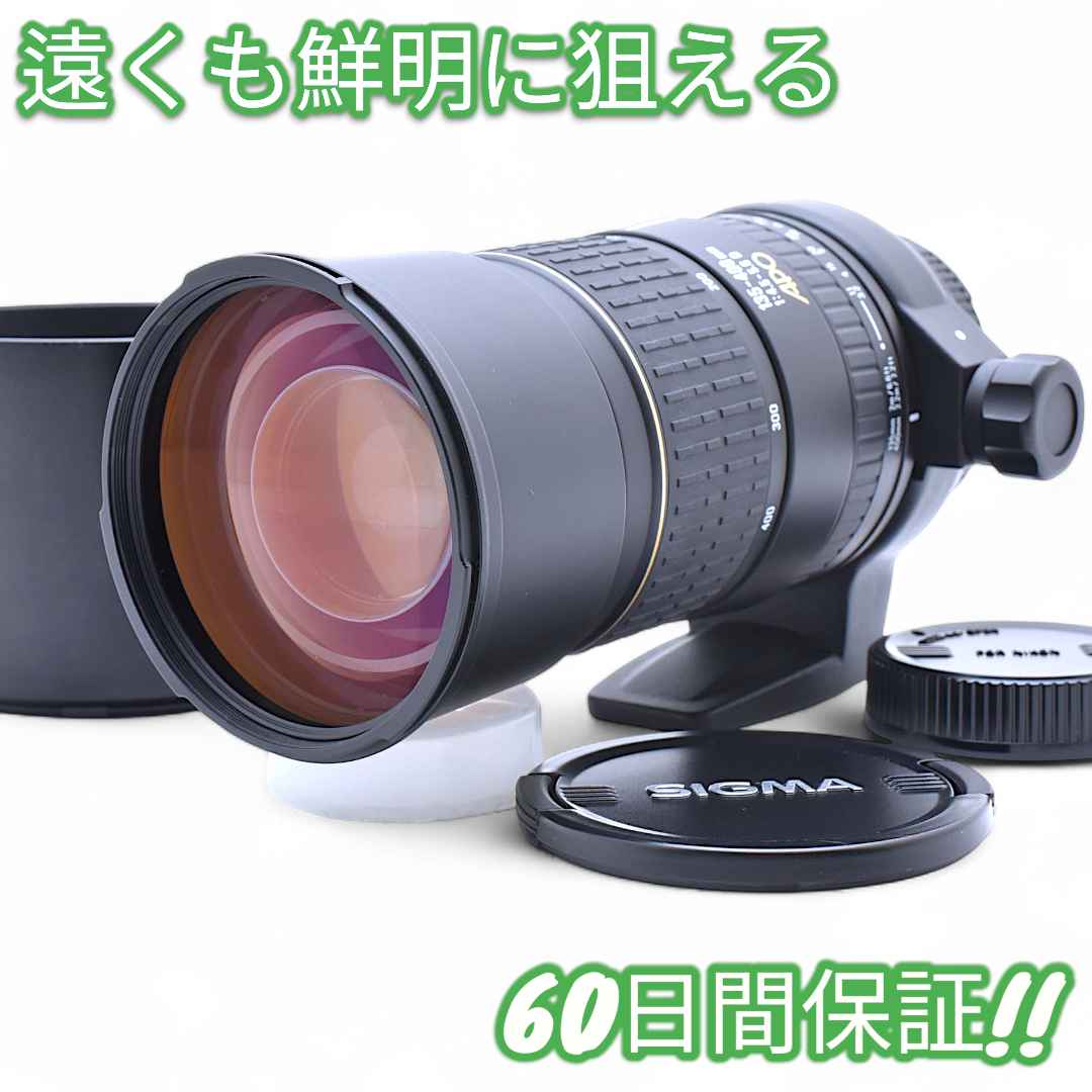 美品 Sigma APO 135-400mm F4.5-5.6 D Nikon