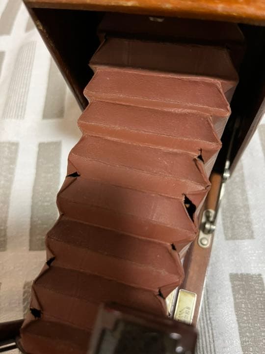 ☆ 六櫻社製　トロピカルリリィカメラ