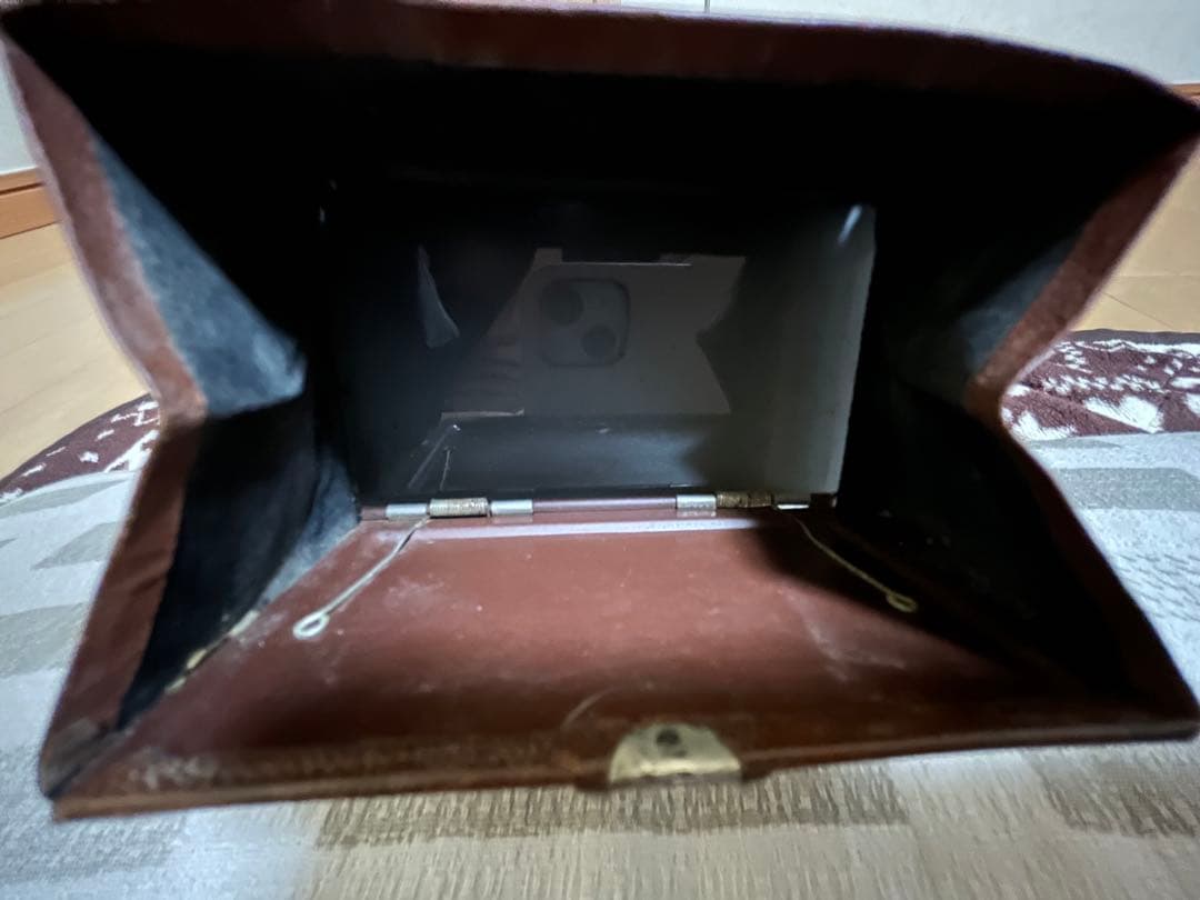 ☆ 六櫻社製　トロピカルリリィカメラ